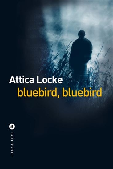 Bluebird, bluebird (Policier)