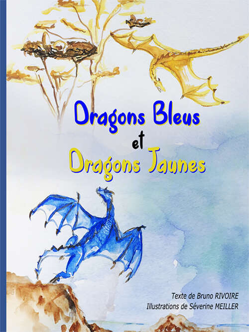 Couverture du livre Dragons bleus et dragons jaunes par Bruno Rivoire.