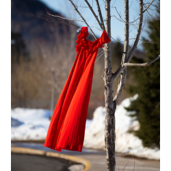 a red dress hangs from a tree