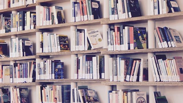 Books on a shelf in a library